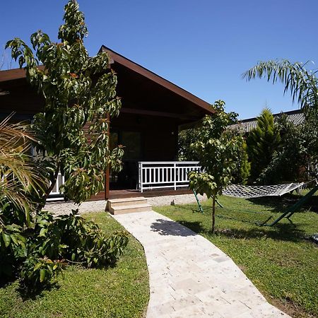 Cirali Villas 2 Εξωτερικό φωτογραφία