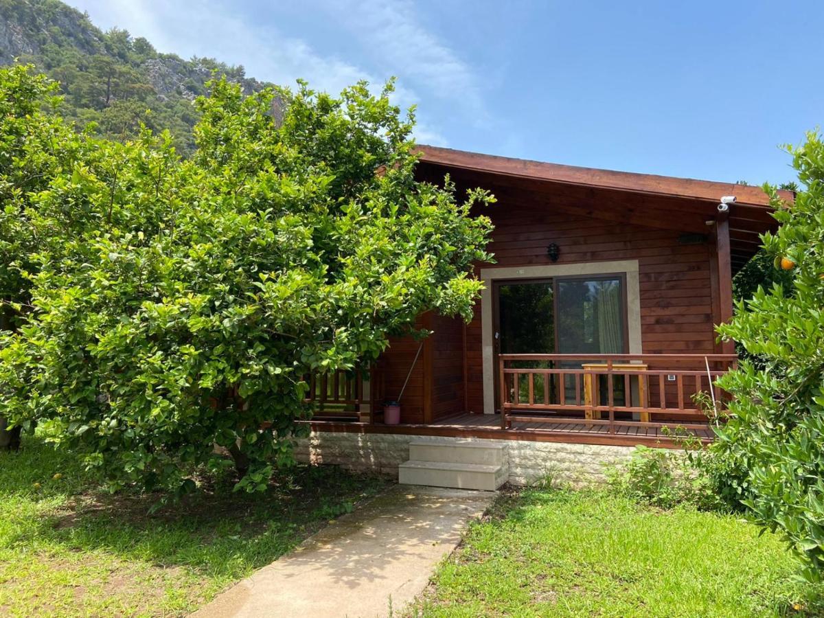 Cirali Villas 2 Εξωτερικό φωτογραφία