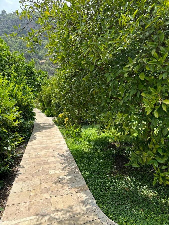 Cirali Villas 2 Εξωτερικό φωτογραφία