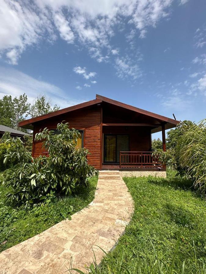 Cirali Villas 2 Εξωτερικό φωτογραφία