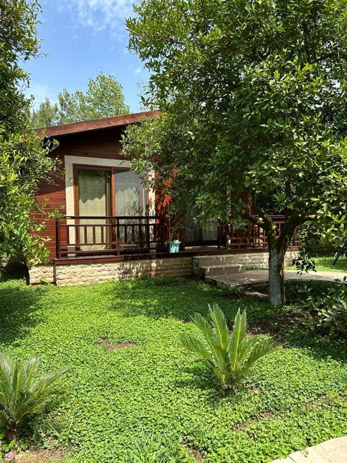 Cirali Villas 2 Εξωτερικό φωτογραφία