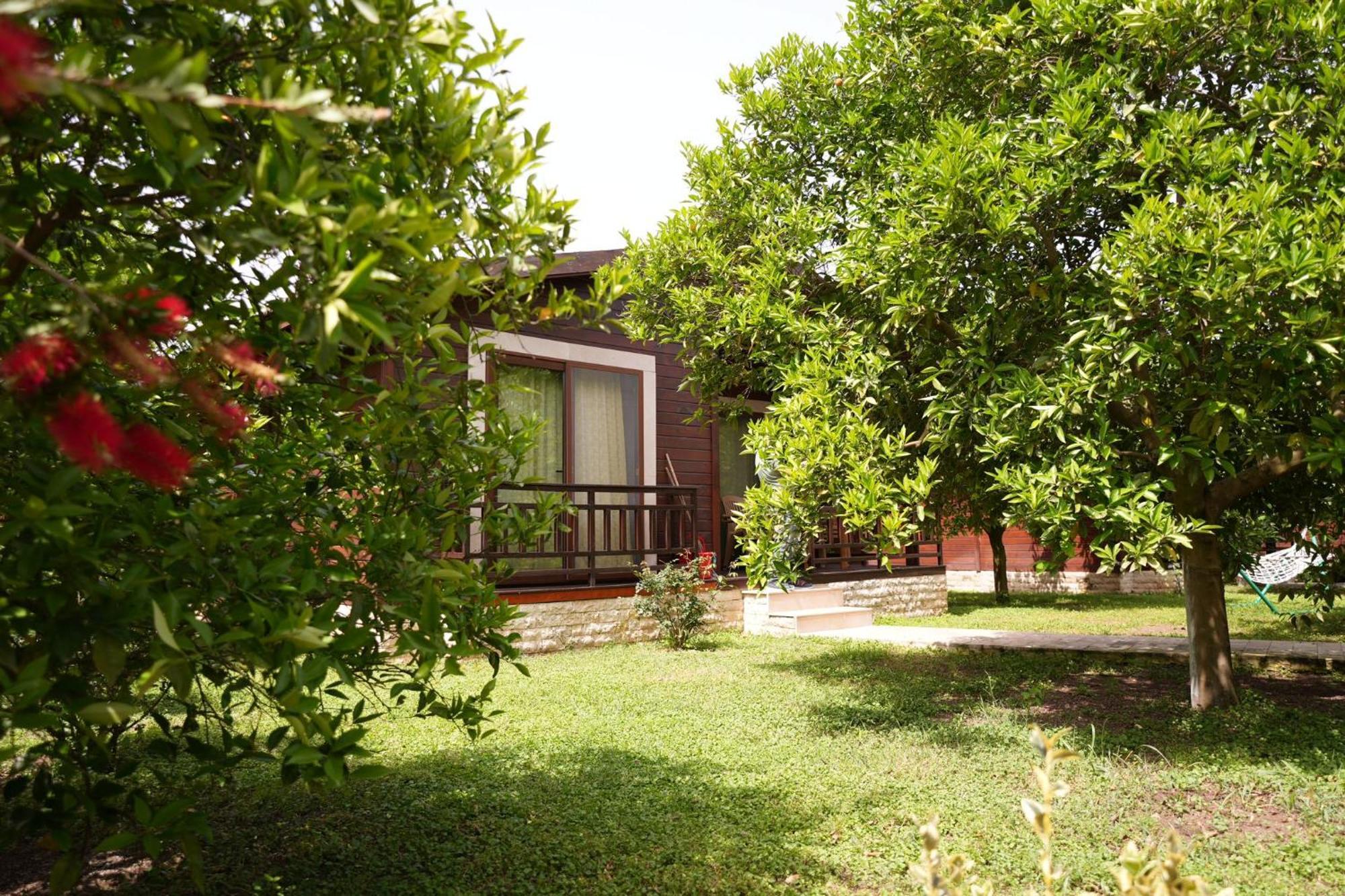 Cirali Villas 2 Εξωτερικό φωτογραφία