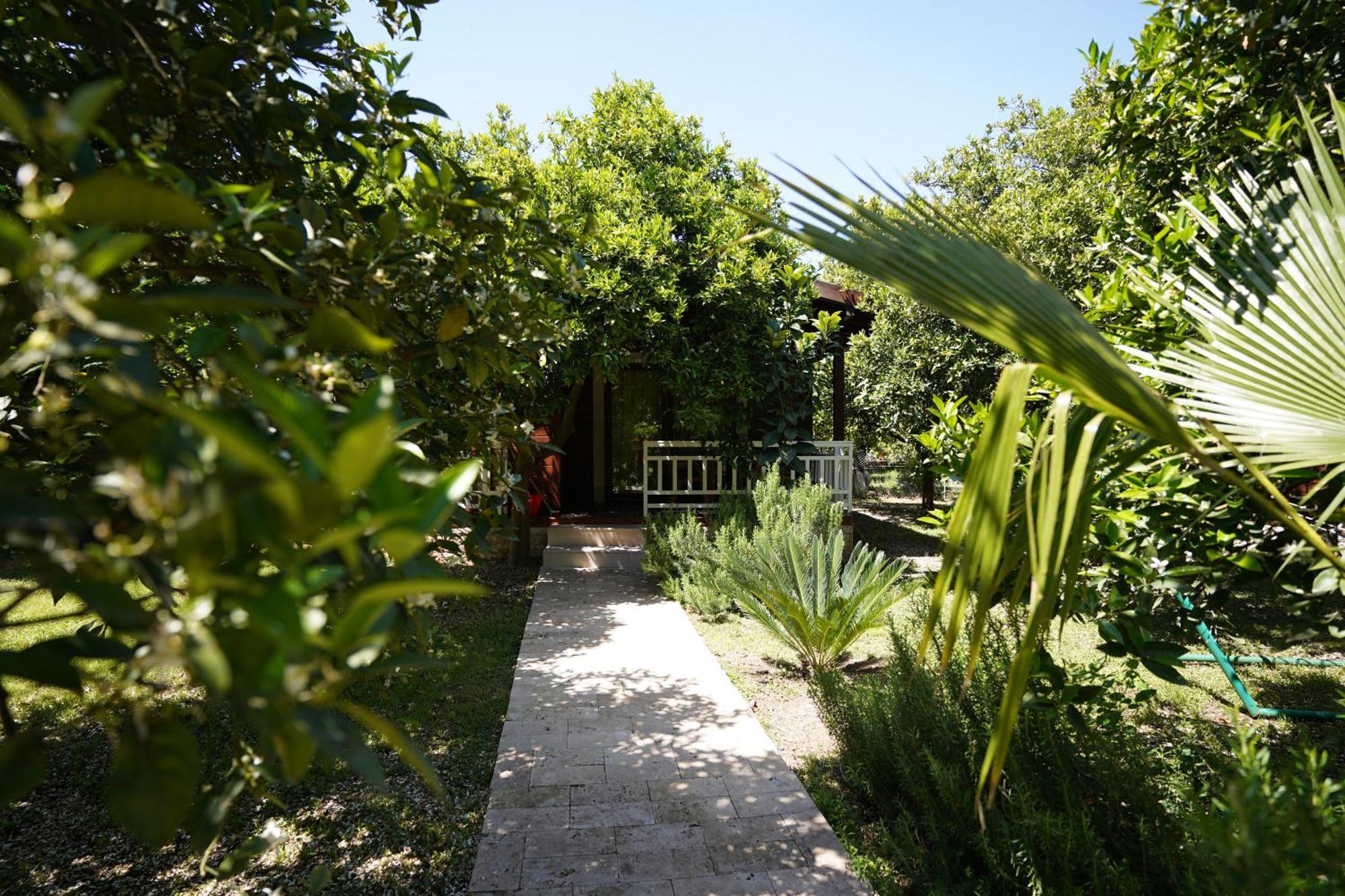 Cirali Villas 2 Εξωτερικό φωτογραφία